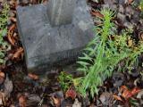image of grave number 445476